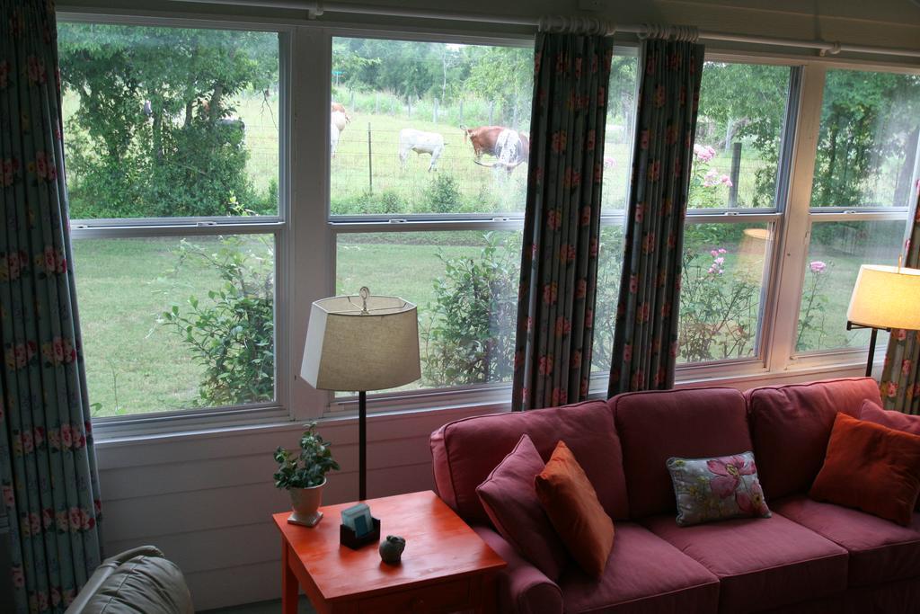 Onion Creek Cottage Austin Eksteriør bilde